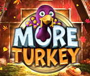 More Turkey